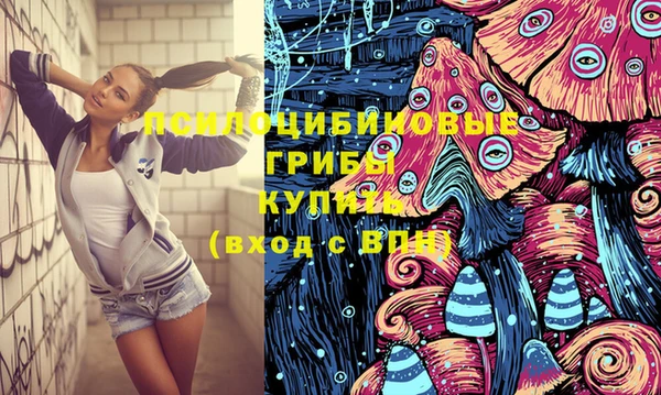 прущие грибы Алексеевка