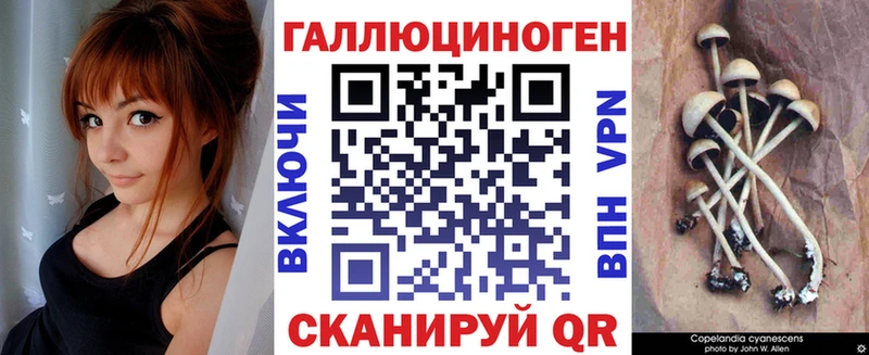 Купить  Урень  Псилоцибиновые грибы мицелий 